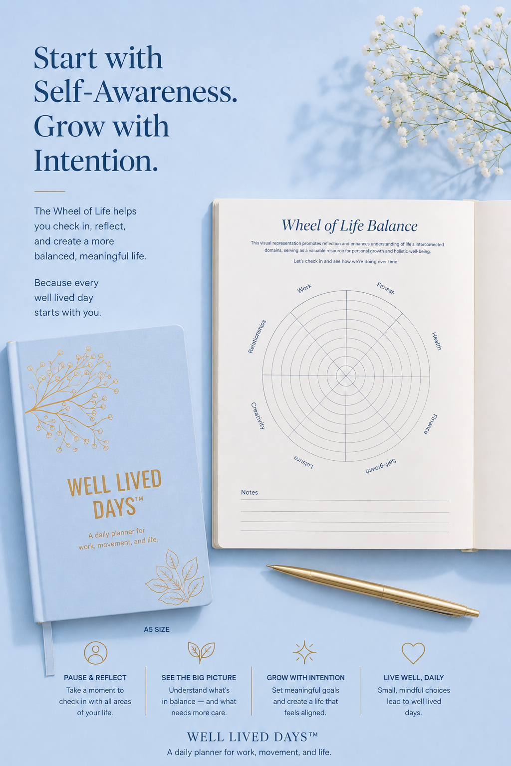 The Wheel of Life: Designing a Life That Feels Whole